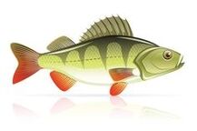 seafood for pancreatitis